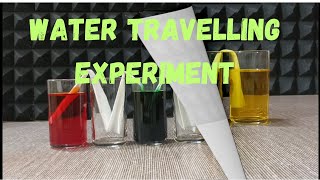 Travelling of Colored Water Experiment | Amazing Science