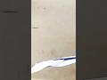 paper bat plane | cardboard creation king telugu|#viralvideo #viralvideo