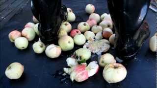 Smashing apples under my rubber boots