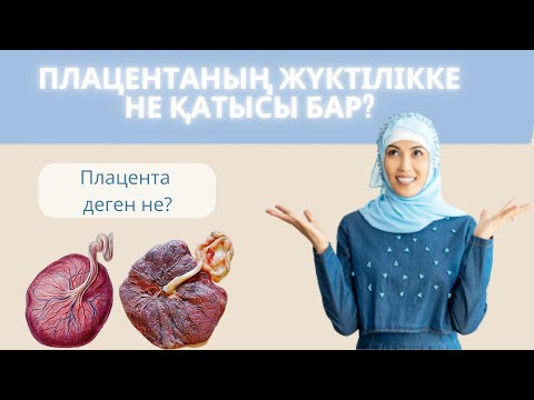 Бейне: Плацента қай аптада түзіледі?