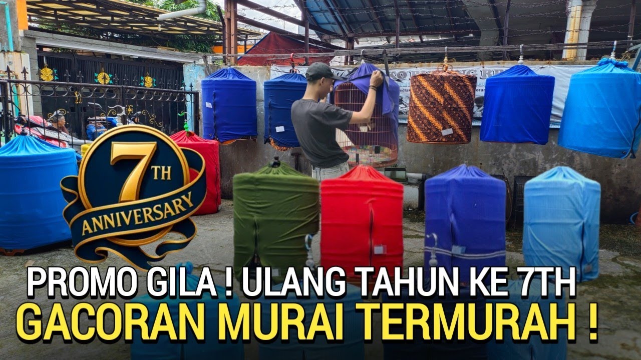 UPDATE ! OBRAL SAMPAI HABIS MURAI GACOR SEKARANG JADI MURAH BEGITU DI KEMAYORAN JAKARTA PUSAT 