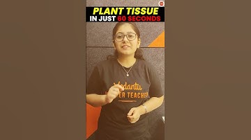 PLANT TISSUES in 60 Seconds😱 | Tissues Class 9 | CBSE Class 9 Science Biology #Cbse2024Exam #Class9