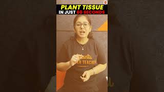 PLANT TISSUES in 60 Seconds😱 | Tissues Class 9 | CBSE Class 9 Science Biology #Cbse2024Exam #Class9
