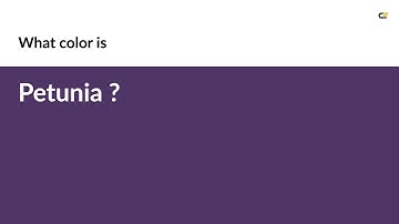 Petunia color #4f3466 hex color - Violet color - Cool color 4f3466