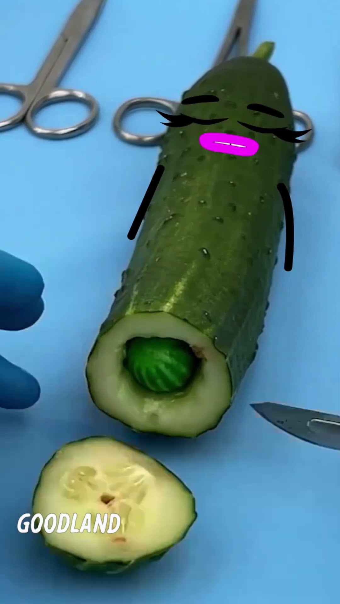 Goodland | Operation on cucumber, watermelon birth ? #doodles #animation #cartoon #GOODLAND