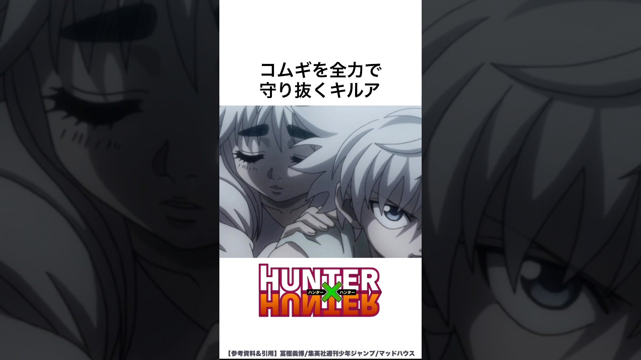 【HUNTER×HUNTER】コムギを全力で守り抜くキルア #ハンターハンター #hunterxhunter #アニメ #雑学