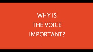 Voices on the Voice - Student Vox Pops