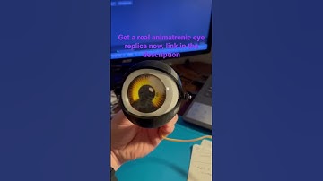 Get your own REAL animatronic eye now, no true fan would want to miss out. Link in the description.