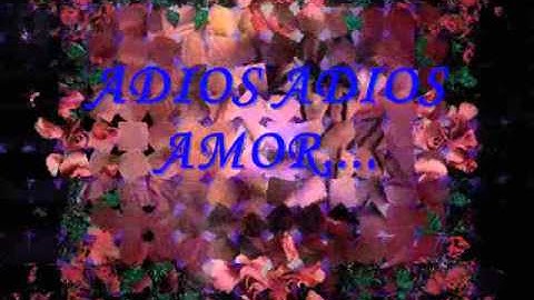 ADIOS ADIOS AMOR   estela nuñez