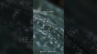 Fujita Maiko - Nee... Cover ( Redo on Quan Ming)