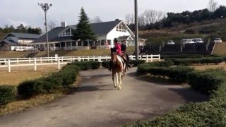 美女達に囲まれ人生初の乗馬体験。かなぎウエスタンライディングパーク