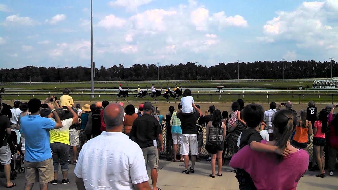 fortnite epic games Ostrich race at Colonial Downs - Father's Day 2013