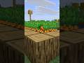 La ZANAHORIA en MINECRAFT #minecraft #shortvideo