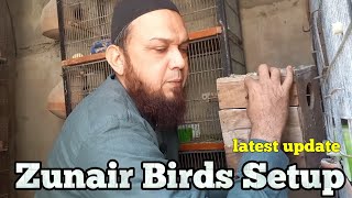 Zunair Birds Setup latest update 2026|| zunair birds setup top class progress||season on hay screenshot 2