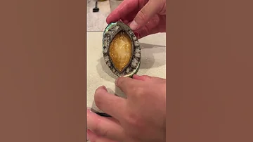 When A Lively Abalone Is Dancing You Stab It With A Sword Shorts 