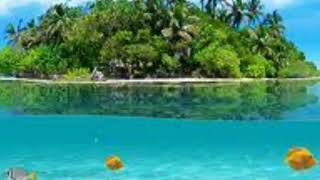 Kasas Suresi̇ Abdulbasit Muhammet Abdussamed