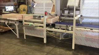 CHL Automated Tote Dumper by CHL Systems 1,875 views 6 years ago 56 seconds