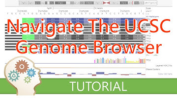 DISPLAY AND NAVIGATE THE GENOME - UCSC Genome Browser Tutorial series