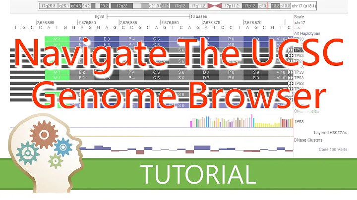 DISPLAY AND NAVIGATE THE GENOME - UCSC Genome Browser Tutorial series