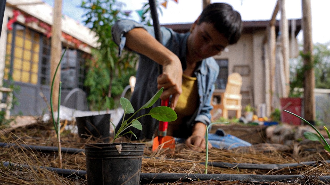 Ponemos TELA ANTIHELADA 🥶 y hacemos los PRIMEROS TRANSPLANTES de plantines de invierno 🌱