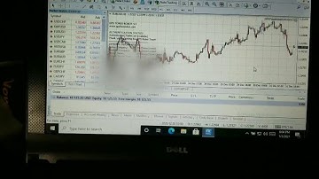 gps forex robot 2 week results