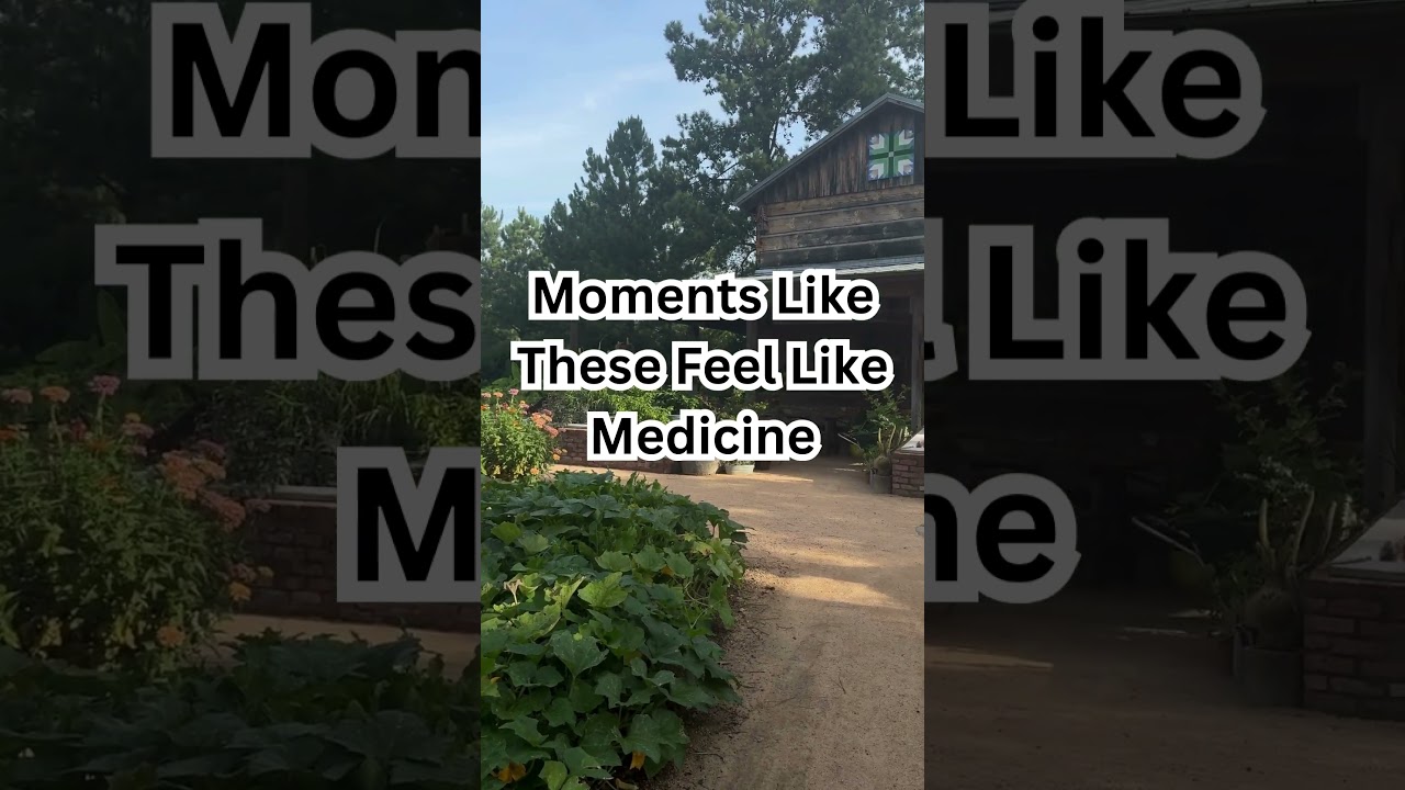 A stroll through the Sarah P Duke Gardens