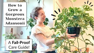 Monstera Adansonii Care | Success Tips You MUST Know 🪴⭐️