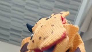 20260808_134920.mp4
