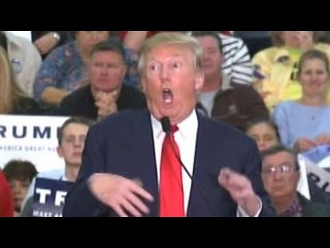 Did Trump really mock reporter's disability?