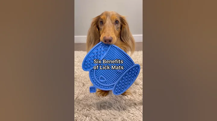 Has your dog tried one yet?? #dog #dachshund #puppy #shorts #lickmat #dogenrichment #enrichment