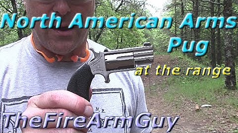 North American Arms Pug at the Range - TheFireArmGuy