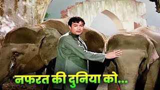 Nafrat Ki Duniya ((Haathi Mere Saathi)) 1971🌷🌷..Mohammed Rafi