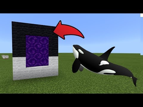 How To Make a Portal to the Orca Dimension in MCPE (Minecraft PE)