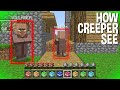 Minecraft, but how CREEPER mob SEE IT ?