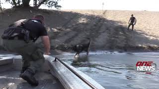 Grant County K9 unit funding takes a big hit from medical bills