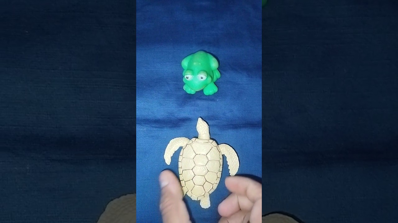 Frog laughter Boing Boing Funny | catch frogs jumping survival for fun | Catch funny frogs