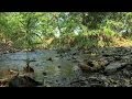Natural Stream Restoration: Streams in Nature (Part I)