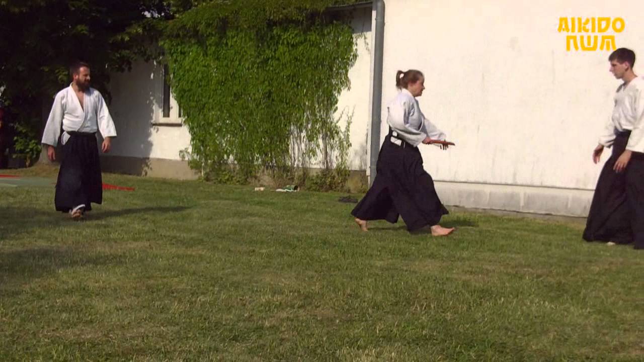 Vorführung der Aikidoschule NWM beim Schulfest in Klütz 2015