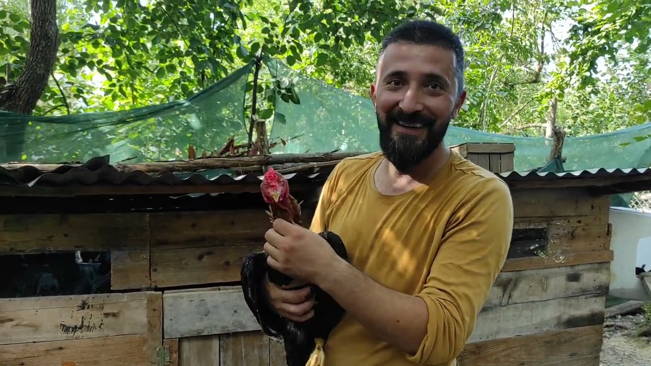 /// MAŞALLAH DİYELİM İMPARATOR YAVRULARA ÇOK GÜZEL BAKMIŞ ///