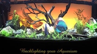 This is my how-to video on lighting your aquarium. step by step.
colored sleeves can be purchased through amazon. light fixture $15
from lowe's bulbs lo...