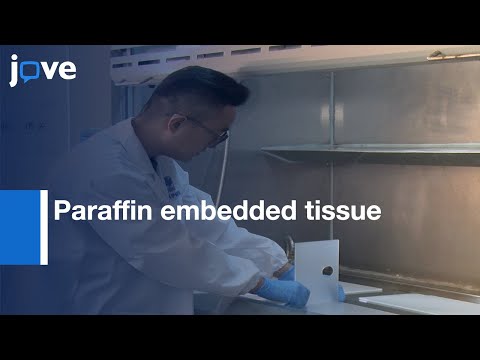 Cutting and Floating Method for Paraffin embedded tissue Sectioning | Protocol Preview