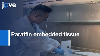 Cutting and Floating Method for Paraffin embedded tissue Sectioning | Protocol Preview