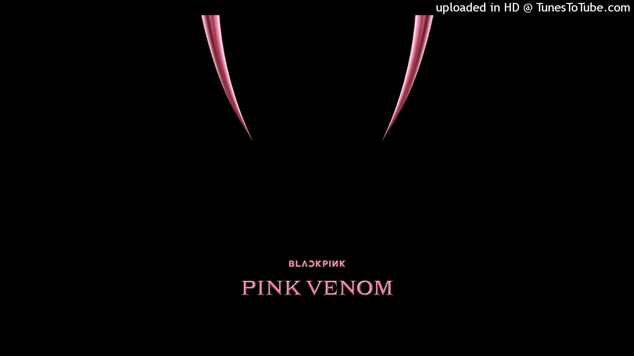 BLACKPINK - Pink Venom (Hidden Vocals)