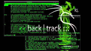 Backtrack codename[whydah]-Cymothoa