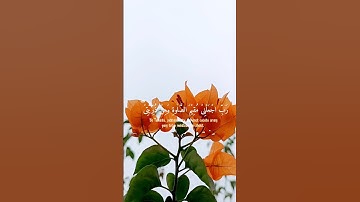 سورة ابراهيم. الآيات (40-41).