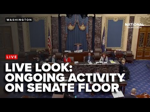 Ongoing activity in the US Senate as lawmakers debate how to reopen the government