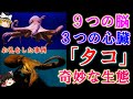 【ゆっくり解説】意外と知らない奇妙な生物「タコ」の生態