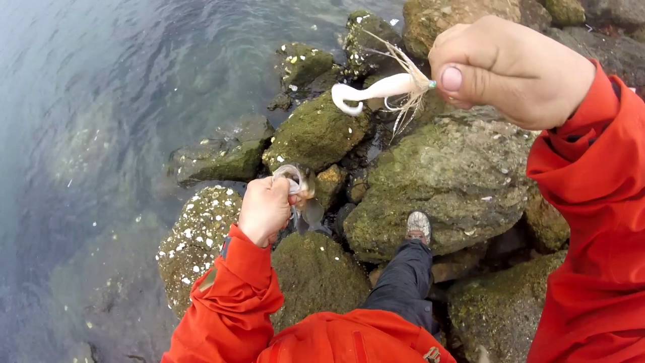 Saltwater fishing tips and pointers YouTube