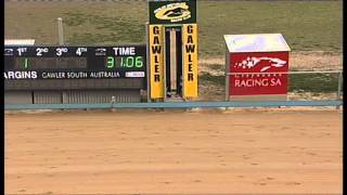 Gawler-11082015-Race-7