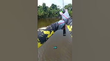 Kỹ Năng Câu Cá Đỉnh Cao